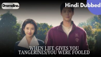 When Life Gives You Tangerines / You Were Fooled In Hindi Dubbed