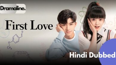 First Love Hindi Dubbed First Love It’s You Chinese drama Hindi Ming Liang Wang Mo Han drama Office romance Hindi drama