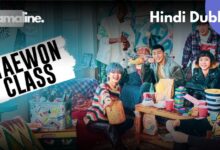 Itaewon Class Hindi Dubbed Download on DramaLine