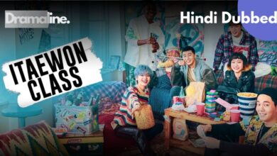 Itaewon Class Hindi Dubbed Download on DramaLine