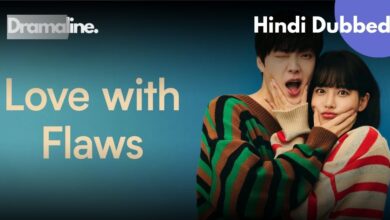 Love with Flaws Hindi Dubbed Download DramaLine
