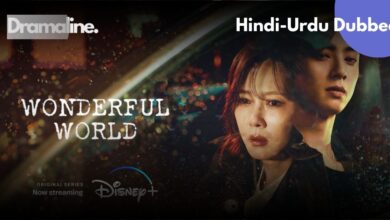 Beautiful World Hindi Urdu Dubbed Download on DramaLine