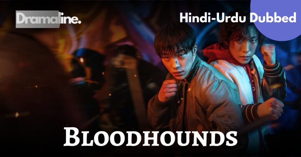 Bloodhounds kdrama Hindi Urdu Dubbed Dramaline