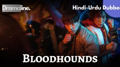 Bloodhounds kdrama Hindi Urdu Dubbed Dramaline