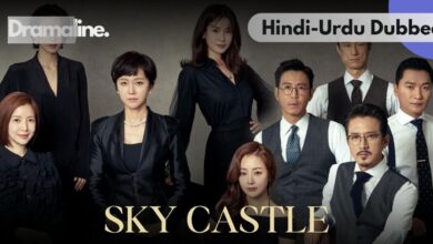 SKY Castle kdrama Hindi Urdu Dubbed on Dramaline