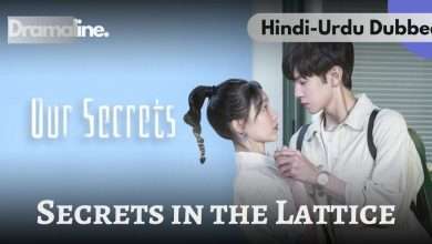 Hindi-Urdu drama about our secrets on Dramaline