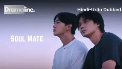 Soul Mate (HINDI DUBBED) | DramaLine | complete