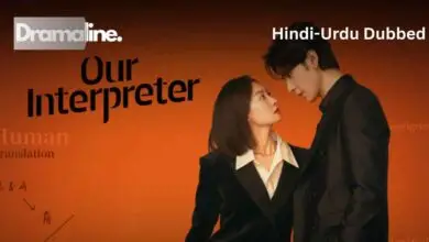 Our Interpreter (HINDI DUBBED) | DramaLine | complete
