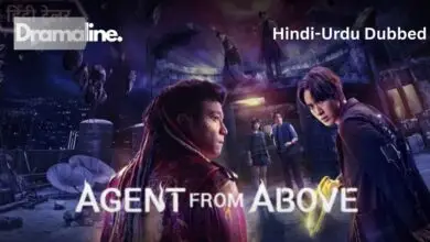 Agent from Above (HINDI DUBBED) | DramaLine | complete