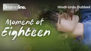 Moment At Eighteen (HINDI DUBBED) | DramaLine | complete
