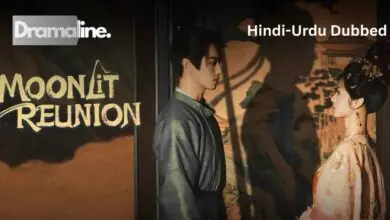 Moonlit Reunion (HINDI DUBBED) | DramaLine | complete