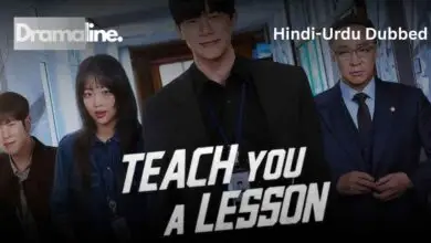 Teach You a Lesson (HINDI DUBBED) | DramaLine | complete