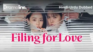 Filing for Love (HINDI DUBBED) | DramaLine | complete