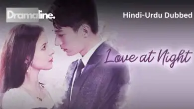 Love at Night (HINDI DUBBED) | DramaLine | complete