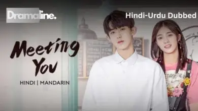 Meeting You (HINDI DUBBED) | DramaLine | complete