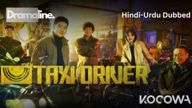 Taxi Driver (HINDI DUBBED) | DramaLine | complete