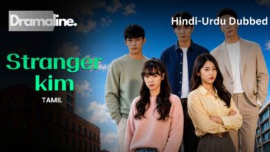 Stranger Kim (HINDI DUBBED) | DramaLine | complete