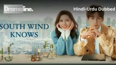 South Wind Knows (HINDI DUBBED) | DramaLine | complete